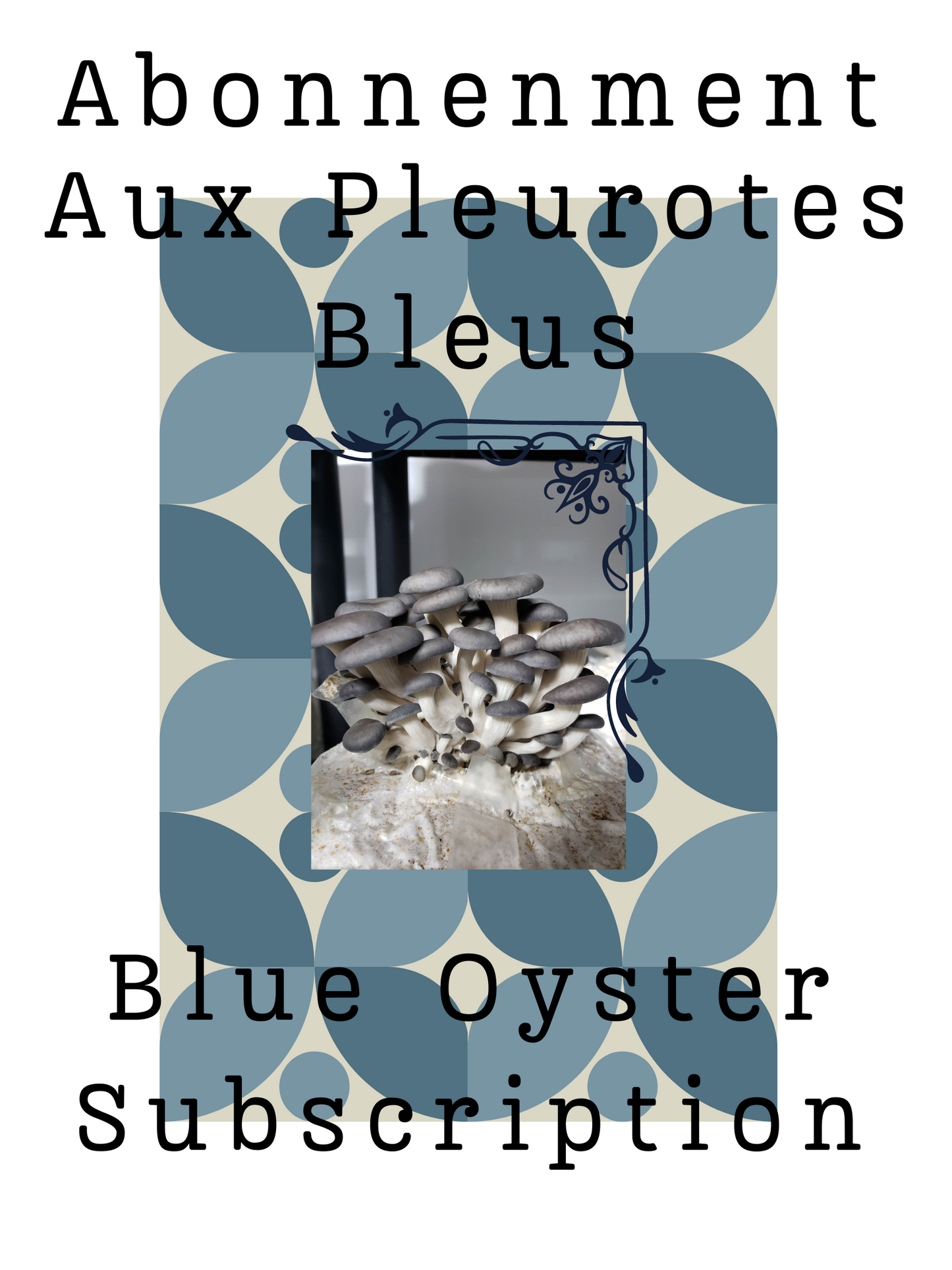 Blue Oyster Mushroom Subscription