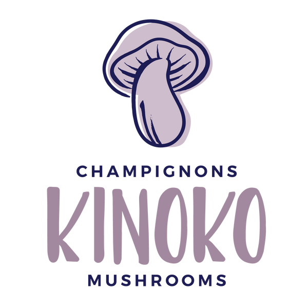 Champignons Kinoko Mushrooms
