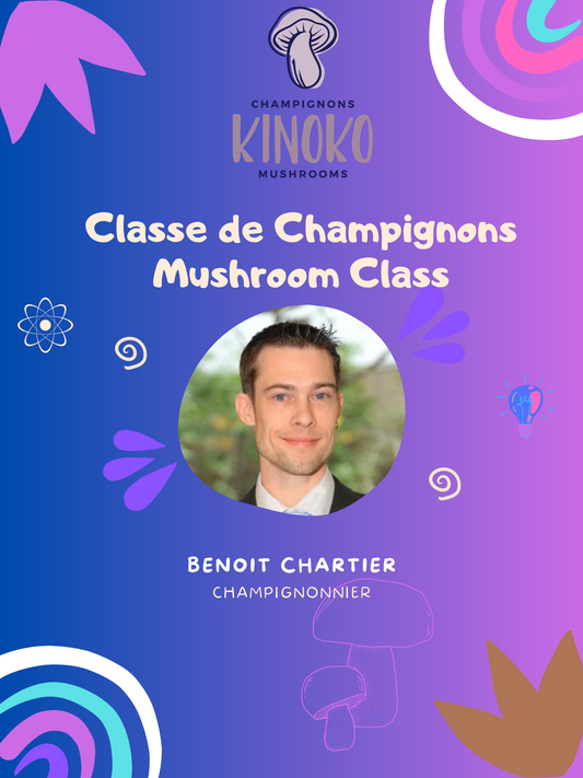 Classe de Champignons - Mushroom Class
